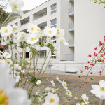 NRG - Überbauung Centrum AU