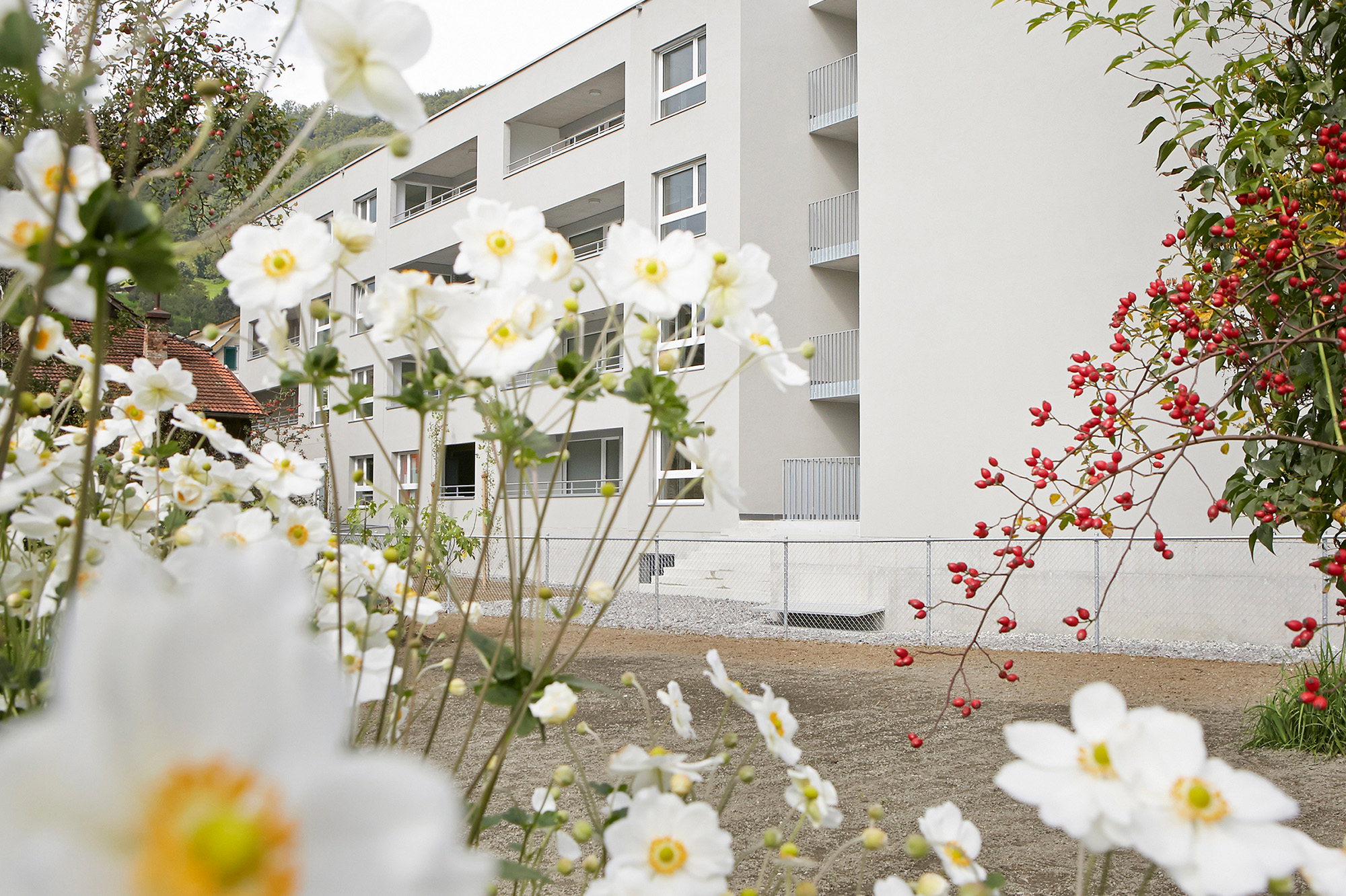 NRG - Überbauung Centrum AU