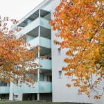 NRG - Lindenstrasse 3a Rheineck