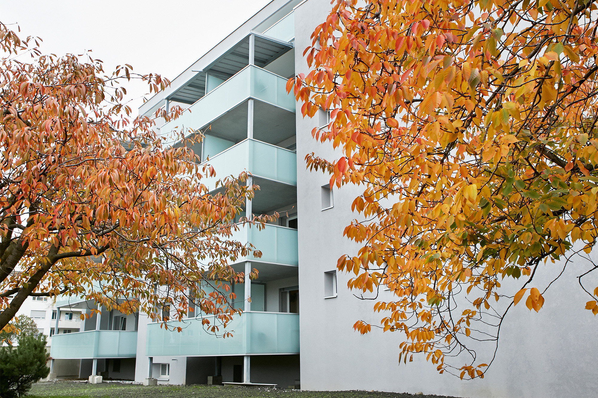 NRG - Lindenstrasse 3a Rheineck
